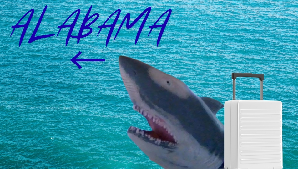 SETHS TRIP TO&nbsp;ALABAMA